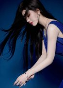 近”党从导的台立法机构步履