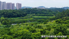 常见于10万+/㎡的豪